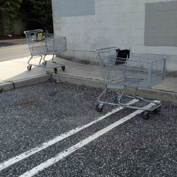 King Kullen - When the cart stopped. KingKullenKart. Who did this?