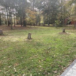 After work was finished...pool builder asked that they leave the stumps.