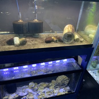 Glen Echo Park Aquarium - Aquariums Near Me - Glen Echo, Maryland