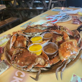 Crab Shack Restaurant - Blue Crabs with garlic butter and old bay - Seafood Near Me - St Petersburg, Florida Crab Shack Restaurant - Blue Crabs with garlic butter and old bay - Seafood Near Me - St Petersburg, Florida