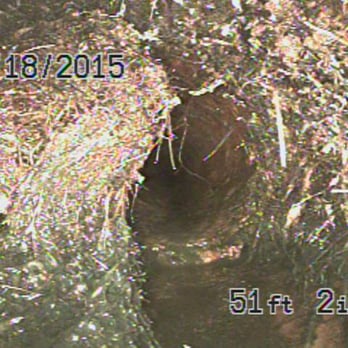 The Sewer Pros - Tree roots in the sewer - Plumbing Near Me - San Marcos, California The Sewer Pros - Tree roots in the sewer - Plumbing Near Me - San Marcos, California