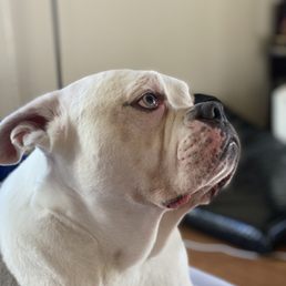 Fur baby!