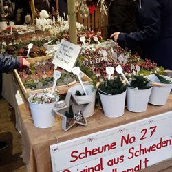 Weihnachtsmarkt Gut Stockseehof