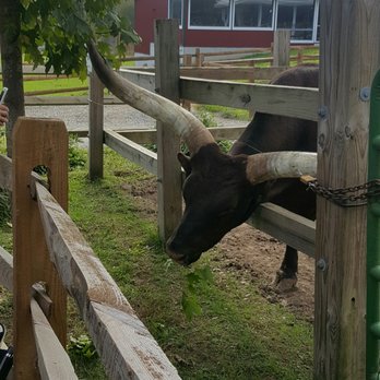 Plumpton Park Zoo - This guy was the best - Zoos Near Me - Rising Sun, Maryland