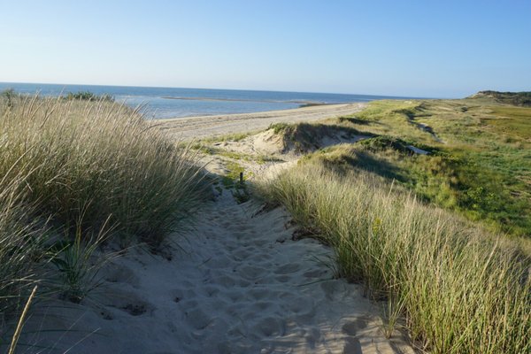 Great Island Trail by null