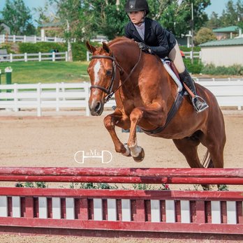 Front Range Show Stables - Horseback Riding Near Me - Erie, Colorado