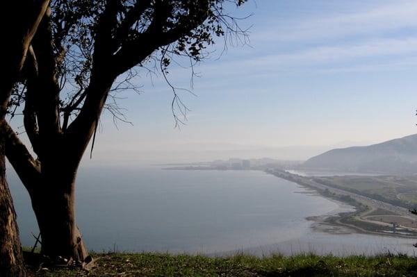 Bayview Park by null