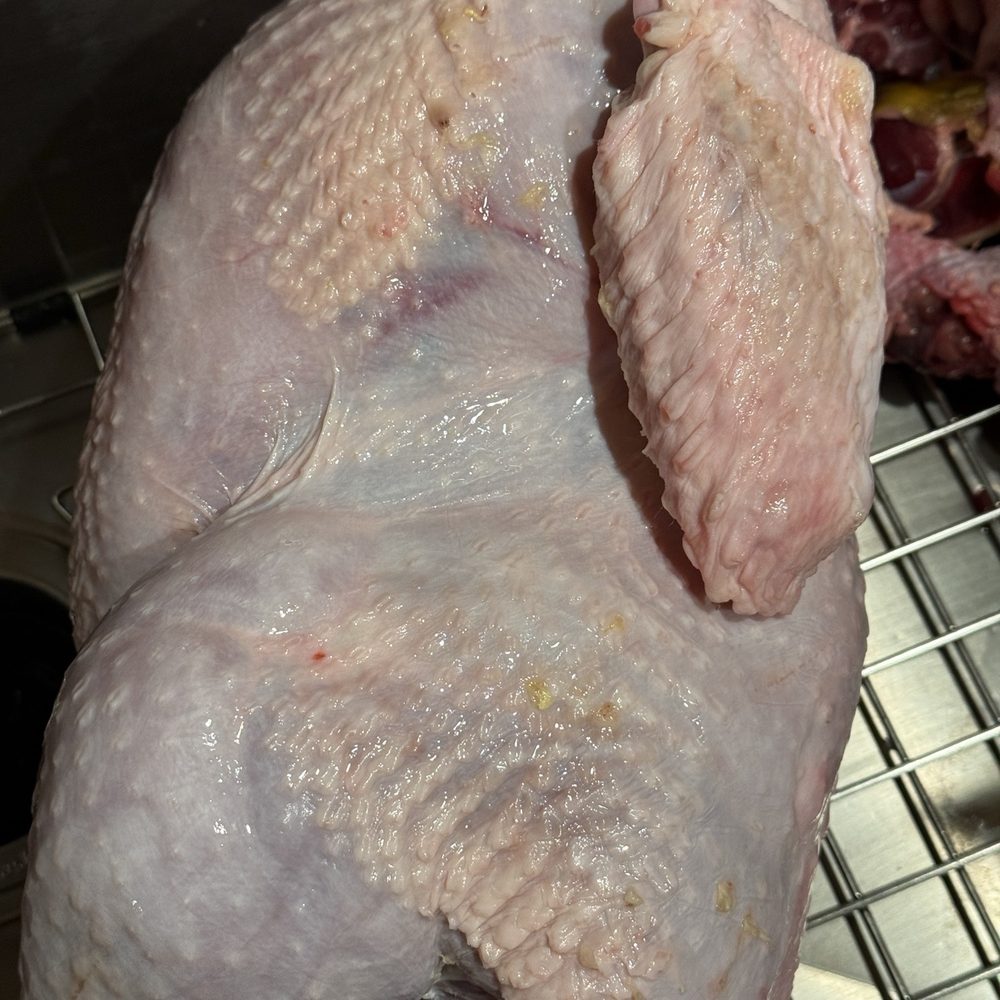 Western Live Poultry - Battered Turkey!! - Meat Shops Near Me - Chicago, Illinois Western Live Poultry - Battered Turkey!! - Meat Shops Near Me - Chicago, Illinois