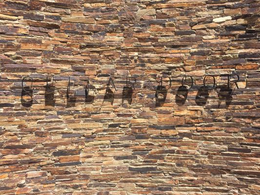 Tarrawarra Estate by null