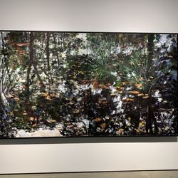 Equinox Gallery