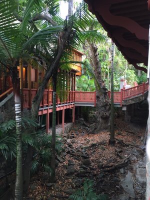 Mongoose Junction by null