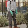 Most Valuable Pest Solutions