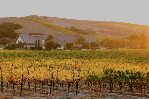 Foley Estates Vineyard & Wine by null