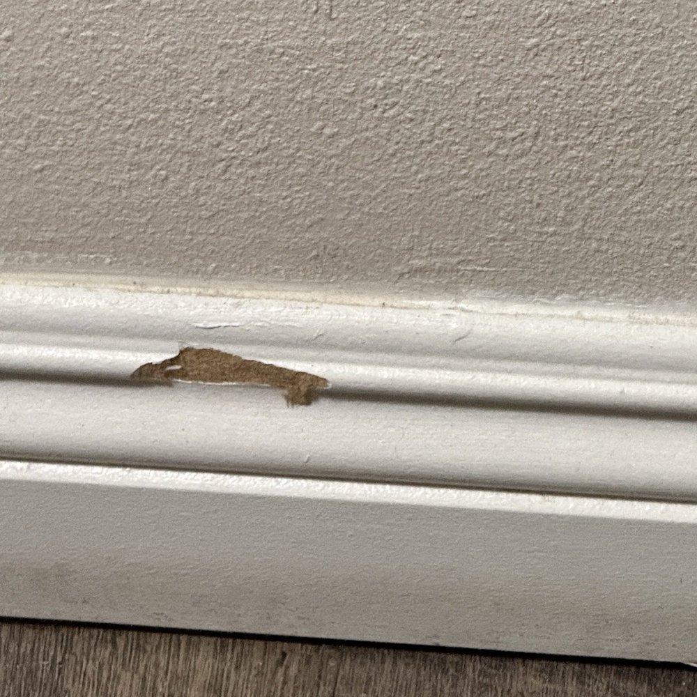 Red Lion Hotel Redding - Hotels Near Me - Redding, California Red Lion Hotel Redding - Hotels Near Me - Redding, California