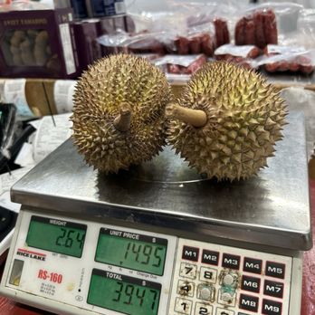 CTN LLC Seafood Fruit Season - Seafood Markets Near Me - Honolulu, Hawaii CTN LLC Seafood Fruit Season - Seafood Markets Near Me - Honolulu, Hawaii