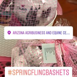 Arizona Agribusiness and Equine Center