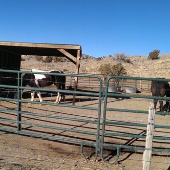 Broken Saddle Riding - Well kept riding horses. Clean facilities. - Horseback Riding Near Me - Cerrillos, New Mexico Broken Saddle Riding - Well kept riding horses. Clean facilities. - Horseback Riding Near Me - Cerrillos, New Mexico