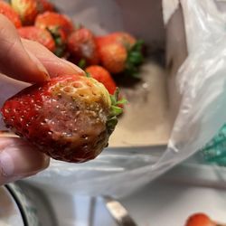 Daly City Farmers' Market - After one day