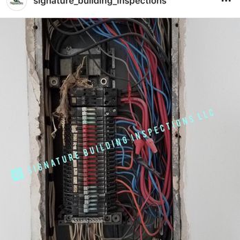Signature Building Inspections - Rodent Found inside of Electrical Panel - Home Inspectors Near Me Signature Building Inspections - Rodent Found inside of Electrical Panel - Home Inspectors Near Me