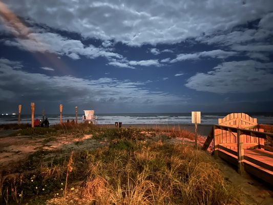 Coconuts on the Beach by null