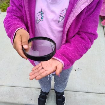 Happy Hall - Meadows - Elementary Schools Near Me - Millbrae, California