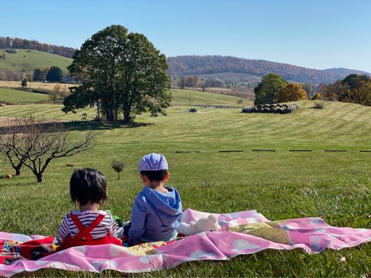 Valley View Farm by null