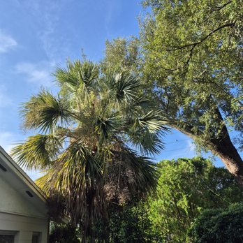 Goatz Maintenance - Lawn Services Near Me - Ocala, Florida Goatz Maintenance - Lawn Services Near Me - Ocala, Florida