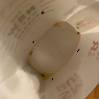 Smashburger - Greasy tot container... yuk! - Burgers Near Me - White Plains, New York Smashburger - Greasy tot container... yuk! - Burgers Near Me - White Plains, New York