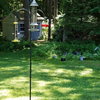 Wild Birds Unlimited - WBU Advance Pole System with a Humming bird feeder, a Finch feeder and the 'Eliminator' squirrel-proof feeder - Bird Shops Near Me - Plaistow, New Hampshire Wild Birds Unlimited - WBU Advance Pole System with a Humming bird feeder, a Finch feeder and the 'Eliminator' squirrel-proof feeder - Bird Shops Near Me - Plaistow, New Hampshire