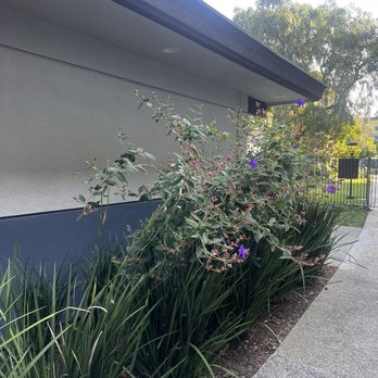 eaves Seal Beach - Beautiful landscaping - Apartments Near Me - Seal Beach, California eaves Seal Beach - Beautiful landscaping - Apartments Near Me - Seal Beach, California