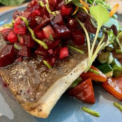 Fish of the day with salad and veggies