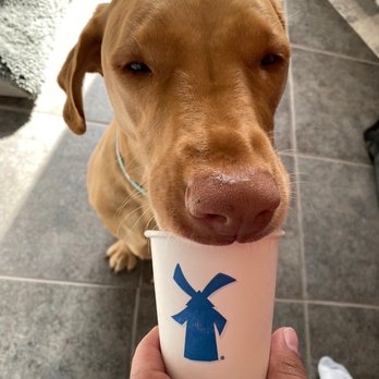 Dutch Bros Coffee - Pup cup for the goodest girl!! - Coffee & Tea Near Me - Sisters, Oregon Dutch Bros Coffee - Pup cup for the goodest girl!! - Coffee & Tea Near Me - Sisters, Oregon