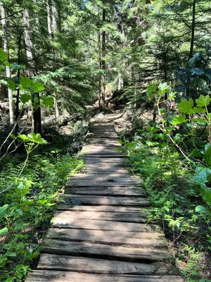 Franklin Falls Trailhead by null