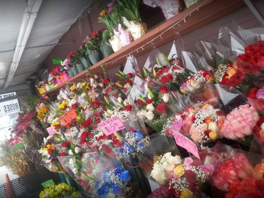 Amsterdam Cafe by null