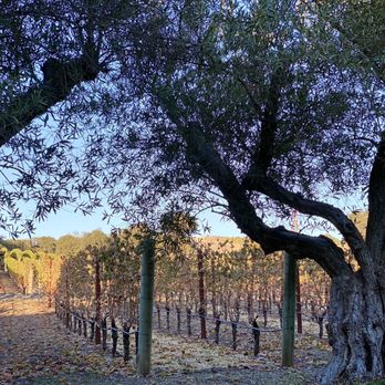 Kenzo Estate - Wineries Near Me - Napa, California