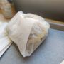 Photo of Druxy's Famous Deli