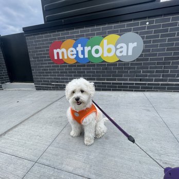 Metrobar DC - Bars Near Me - Washington, DC, District of Columbia Metrobar DC - Bars Near Me - Washington, DC, District of Columbia