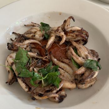 Mish Mish - Octopus - Mediterranean Near Me - Philadelphia, Pennsylvania Mish Mish - Octopus - Mediterranean Near Me - Philadelphia, Pennsylvania