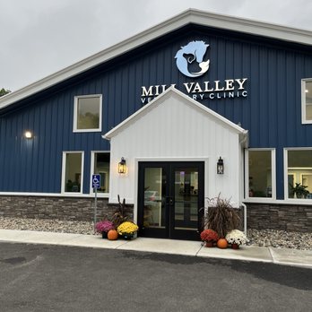 Mill Valley Veterinary Clinic - Veterinarians Near Me - Belchertown, Massachusetts Mill Valley Veterinary Clinic - Veterinarians Near Me - Belchertown, Massachusetts