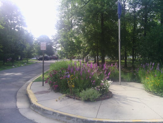 Vienna Community Center by null