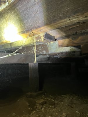 Termite Control Services - Termite Control Services. Call Today For A Free Estimate Termite Control Services - Termite Control Services. Call Today For A Free Estimate