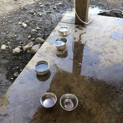 Spokanimal Dog Park At High Bridge - Water bowls