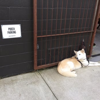 Cumberland Brewing - Pooch parking - Breweries Near Me - Cumberland, British Columbia
