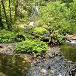 Lee Wooden Fishhawk Falls Park - The river at the end of the trail