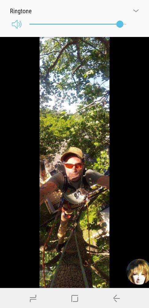 Price Tree Care - tree service in Nashville, TN