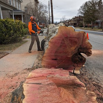 Lofty Heights Tree Care - Tree Services Near Me - Hollidaysburg, Pennsylvania Lofty Heights Tree Care - Tree Services Near Me - Hollidaysburg, Pennsylvania