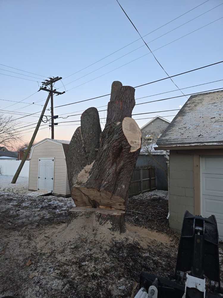 KD Tree Service Albany NY - tree service in Albany, NY