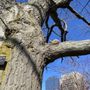 Photo of Charles River Bike Paths