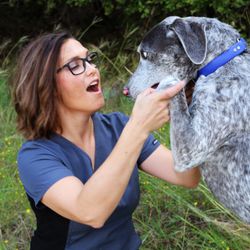 Springs Veterinary Care