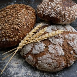 Grist & Grind Bakery